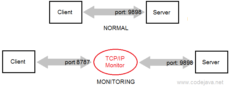 TCP IP Monitor principle